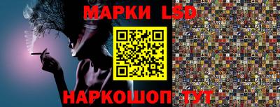 шишки Будённовск