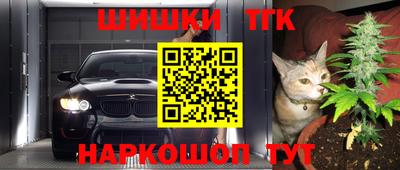 шишки Будённовск
