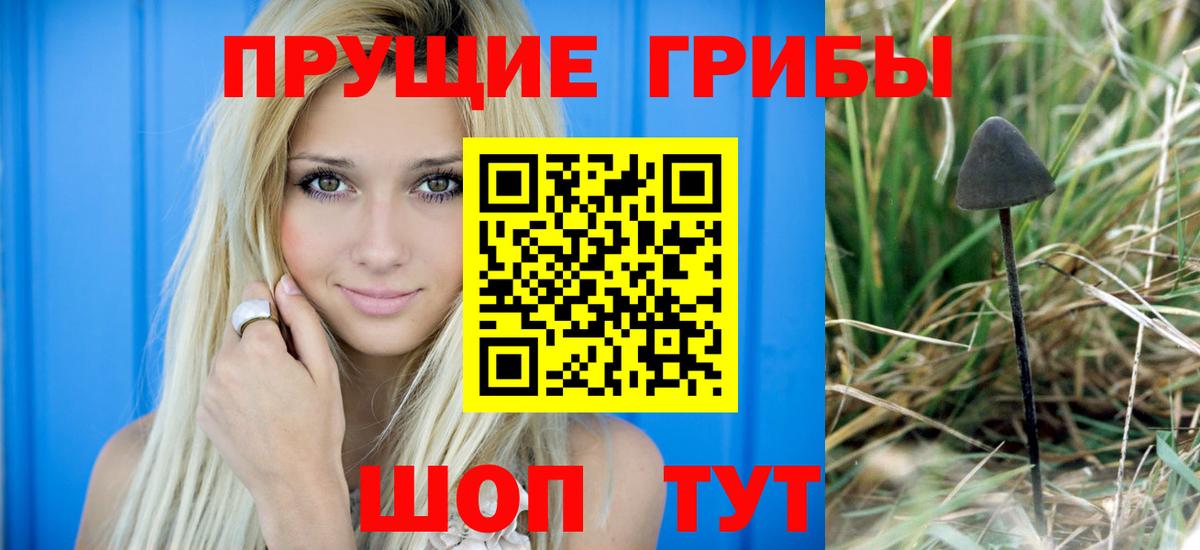 Галлюциногенные грибы Cubensis Кудымкар