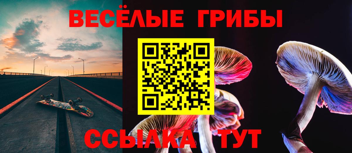 Кудымкар  Галлюциногенные грибы Cubensis  Вход с VPN 