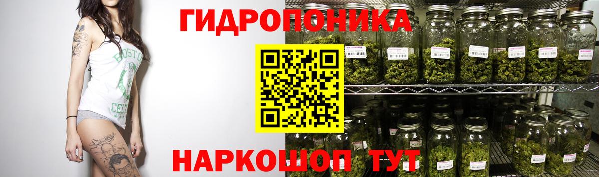 Канабис марихуана  Вход с VPN  Кудымкар  Канабис LSD WEED  Конопля White Widow 